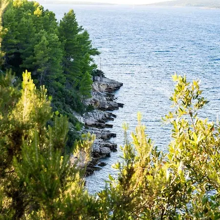 Semesterbostad Vrana Vela Luka