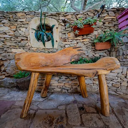 Vrana Vela Luka