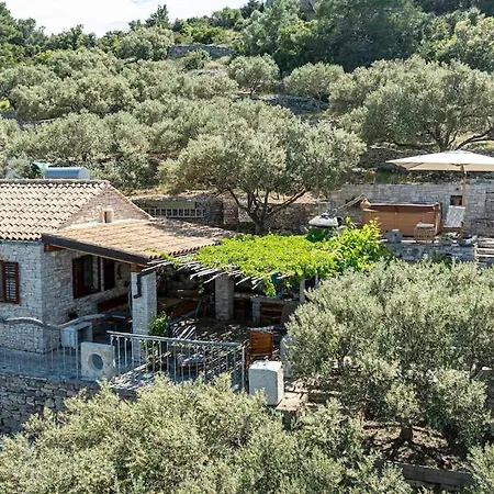 Vrana Vela Luka
