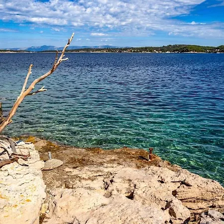 Vrana Vela Luka