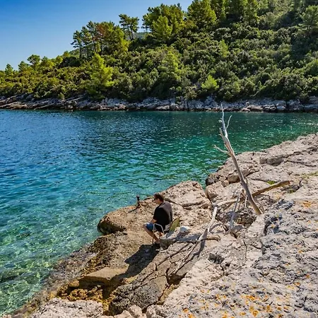 Vrana * Vela Luka