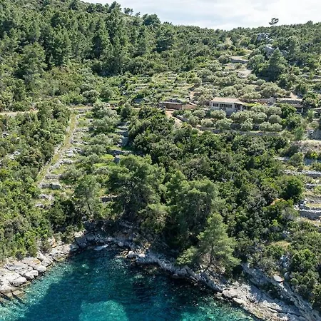 Vrana Vela Luka