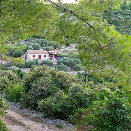 Vrana Semesterbostad Vela Luka